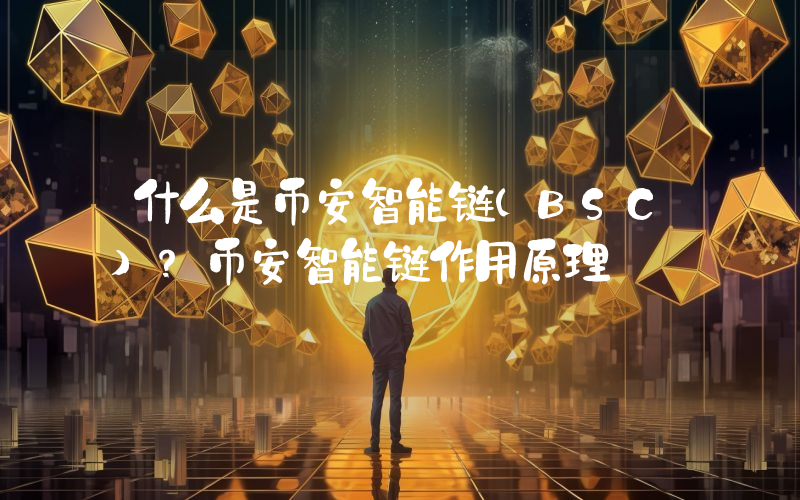 什么是币安智能链(BSC)？币安智能链作用原理