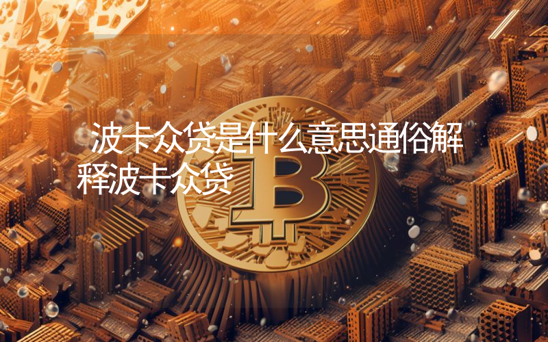 波卡众贷是什么意思通俗解释波卡众贷