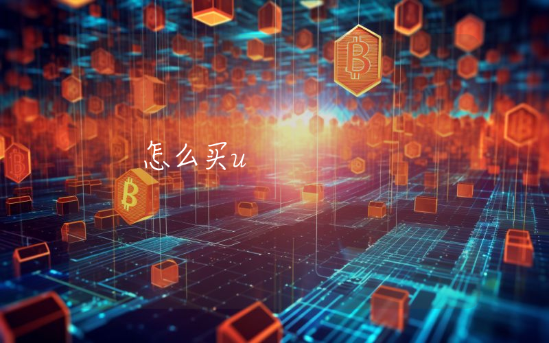 怎么买u