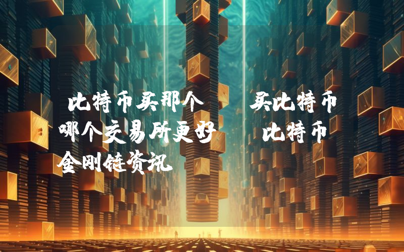 比特币买那个h(买比特币哪个交易所更好)_比特币_金刚链资讯
