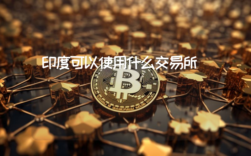 印度可以使用什么交易所