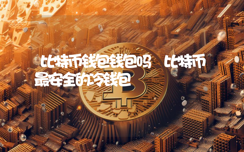 比特币钱包钱包吗 比特币最安全的冷钱包