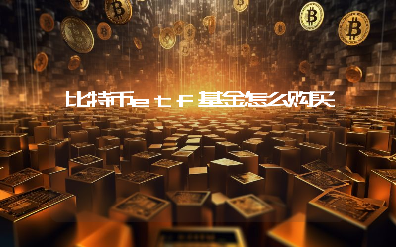 比特币etf基金怎么购买