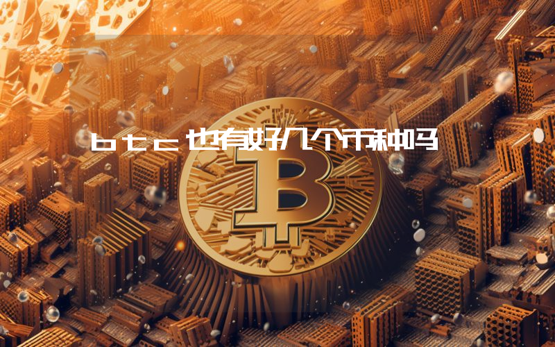 btc也有好几个币种吗