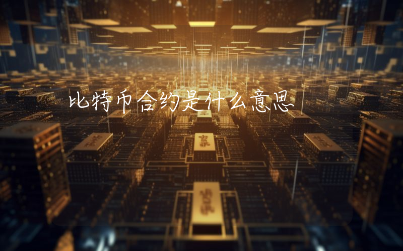比特币合约是什么意思