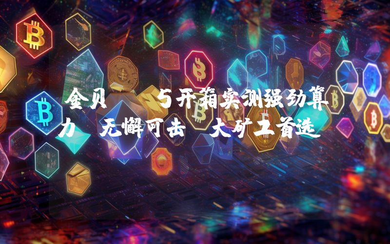 金贝KD5开箱实测强劲算力,无懈可击,大矿工首选