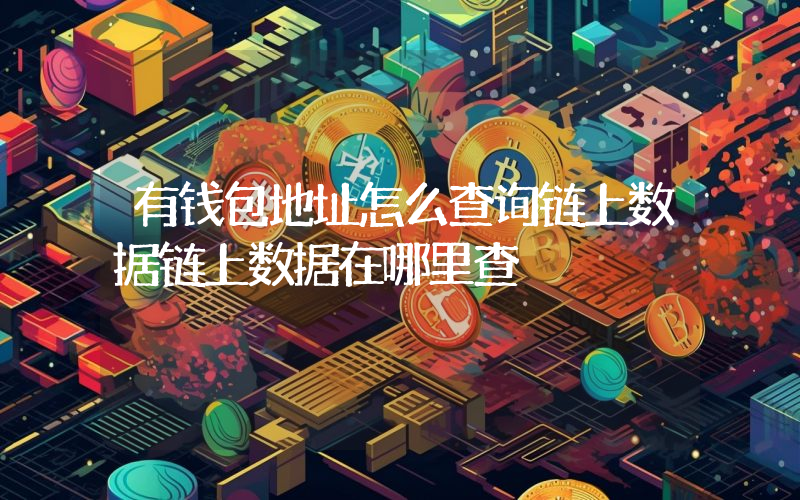有钱包地址怎么查询链上数据链上数据在哪里查