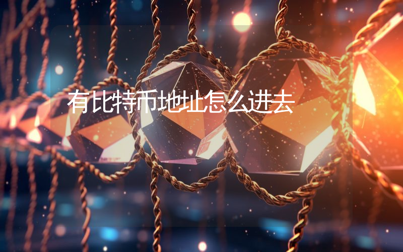 有比特币地址怎么进去