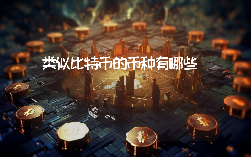 类似比特币的币种有哪些