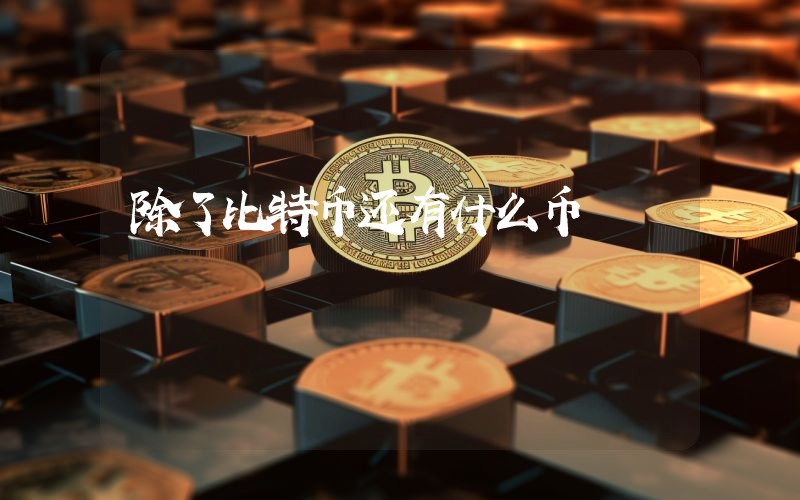 除了比特币还有什么币