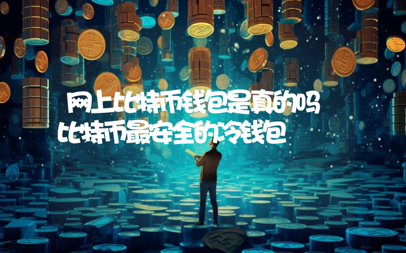 网上比特币钱包是真的吗 比特币最安全的冷钱包