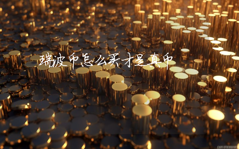 瑞波币怎么买才是真币