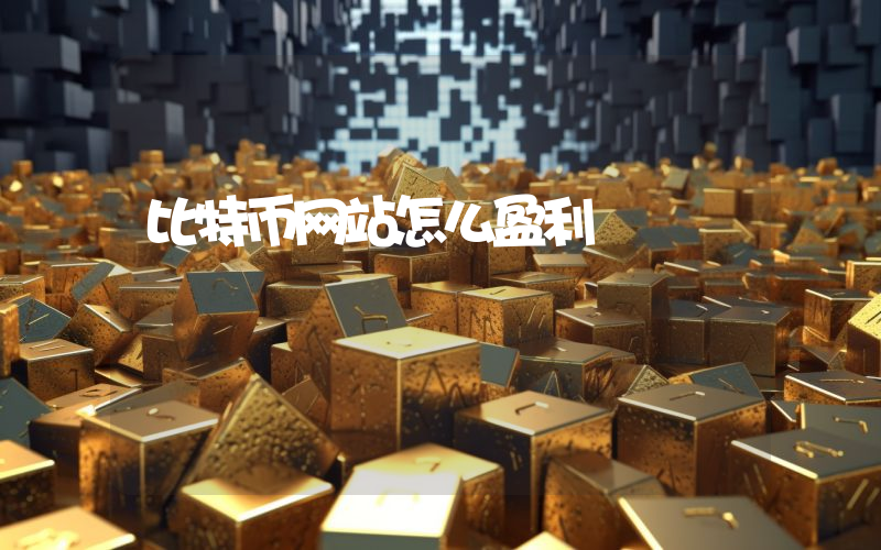 比特币网站怎么盈利