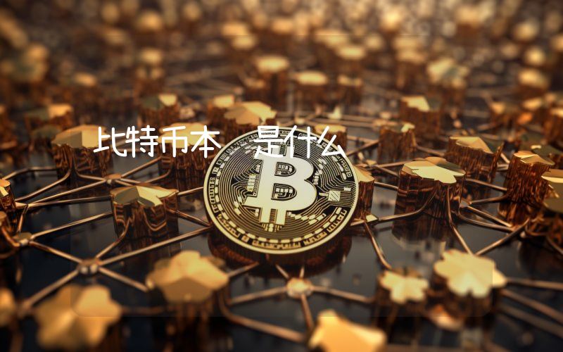 比特币本质是什么
