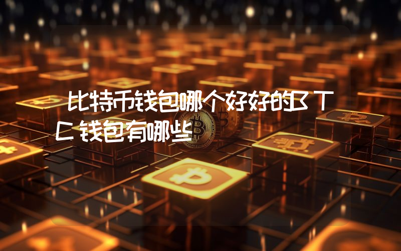 比特币钱包哪个好好的BTC钱包有哪些