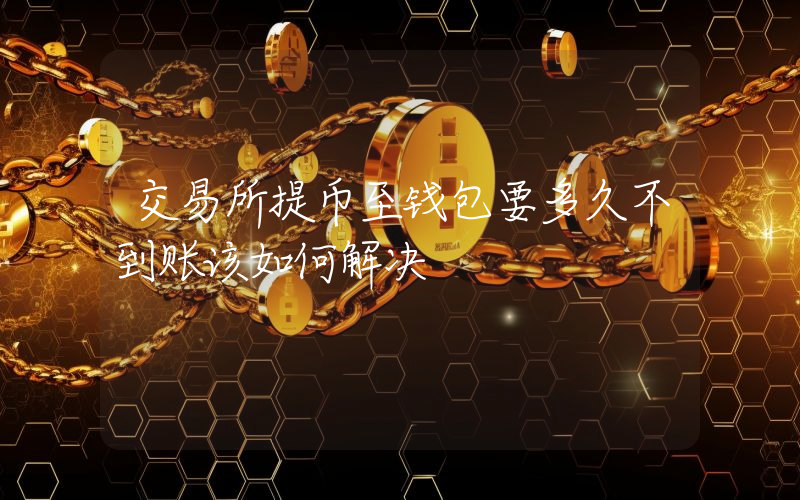 交易所提币至钱包要多久不到账该如何解决