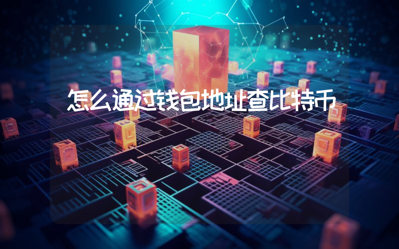 怎么通过钱包地址查比特币