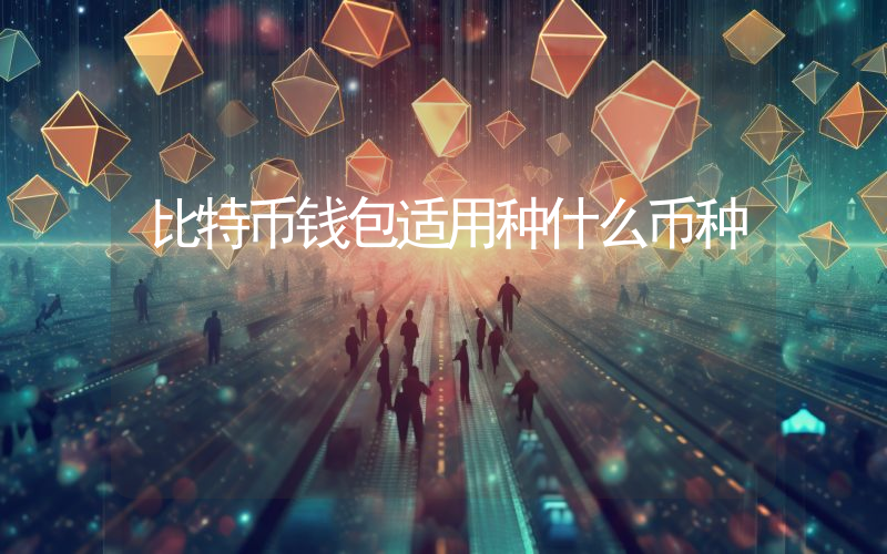 比特币钱包适用种什么币种