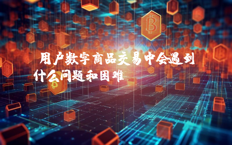 用户数字商品交易中会遇到什么问题和困难