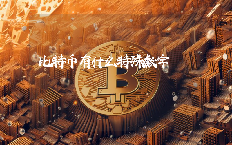 比特币有什么特殊数字