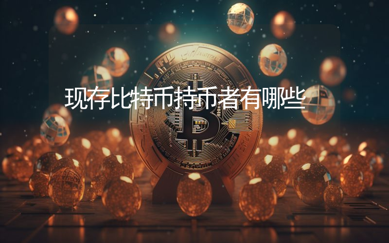 现存比特币持币者有哪些