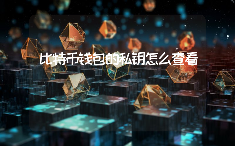 比特币钱包的私钥怎么查看
