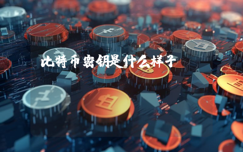 比特币密钥是什么样子