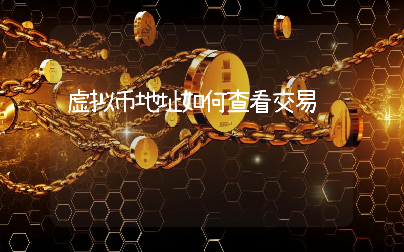 虚拟币地址如何查看交易