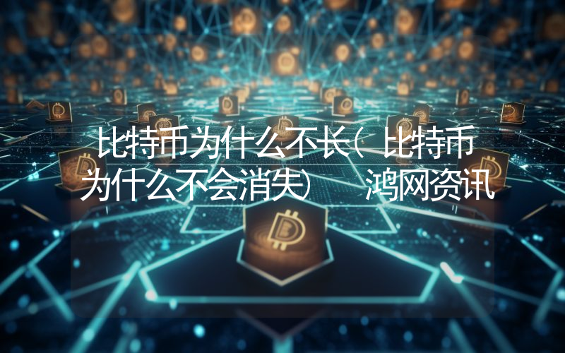 比特币为什么不长(比特币为什么不会消失) 鸿网资讯