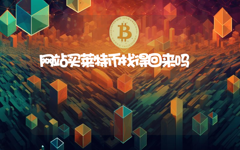 网站买莱特币找得回来吗