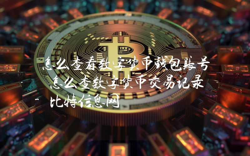 怎么查看数字货币钱包账号 怎么查数字货币交易记录 -比特信息网