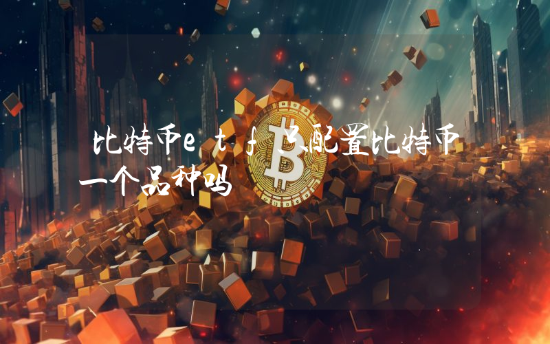 比特币etf只配置比特币一个品种吗