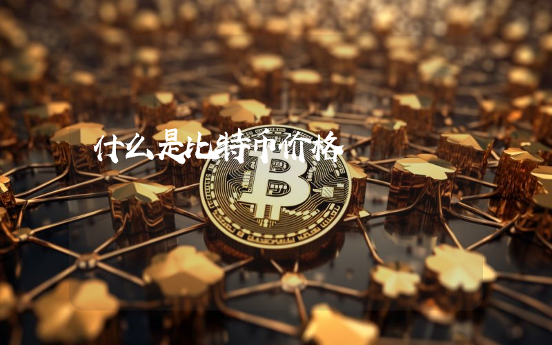 什么是比特币价格