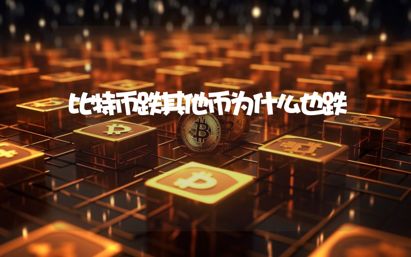 比特币跌其他币为什么也跌