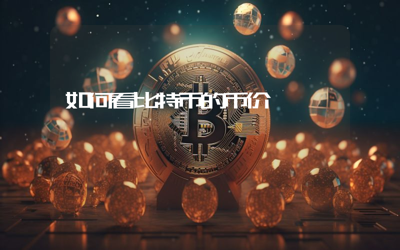 如何看比特币的币价