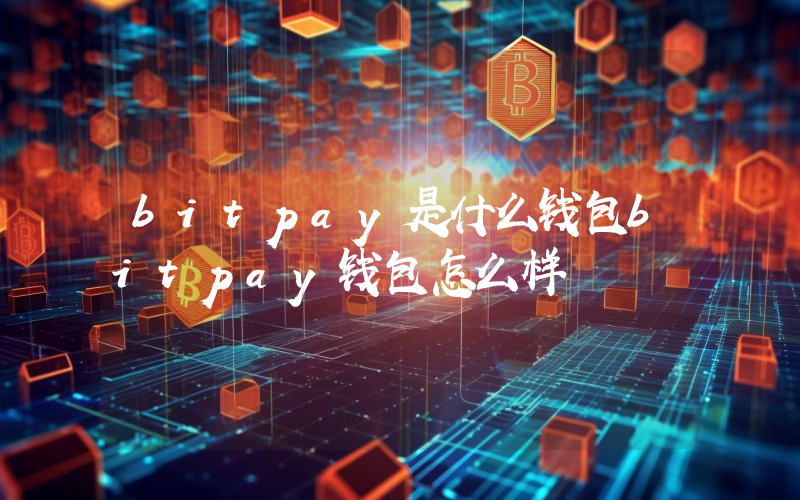 bitpay是什么钱包bitpay钱包怎么样