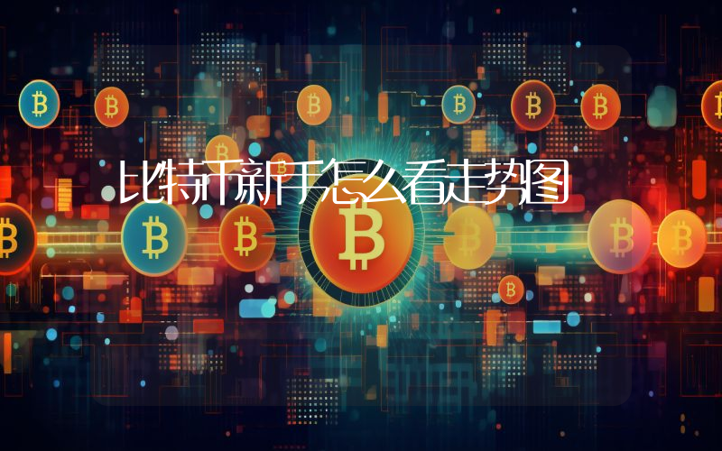 比特币新手怎么看走势图