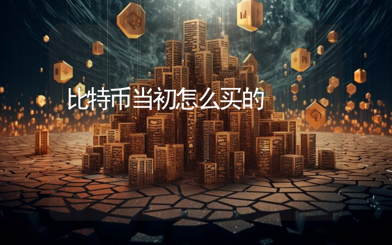 比特币当初怎么买的