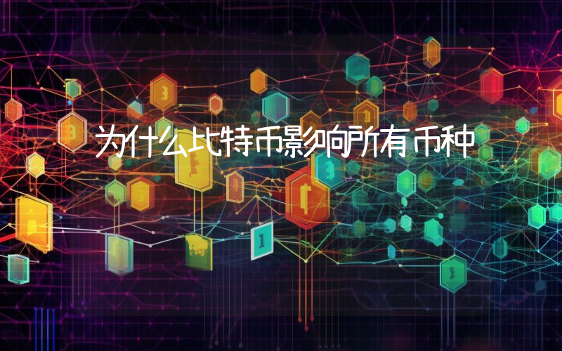 为什么比特币影响所有币种