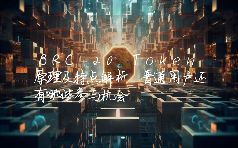 BRC-20 Token原理及特点解析 普通用户还有哪些参与机会