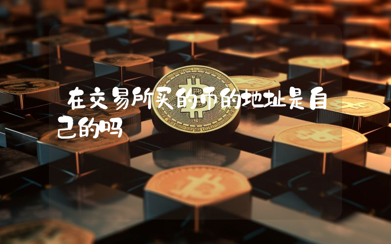 在交易所买的币的地址是自己的吗