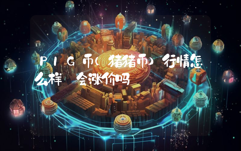 PIG币(猪猪币)行情怎么样 会涨价吗