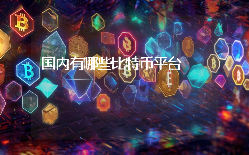 国内有哪些比特币平台