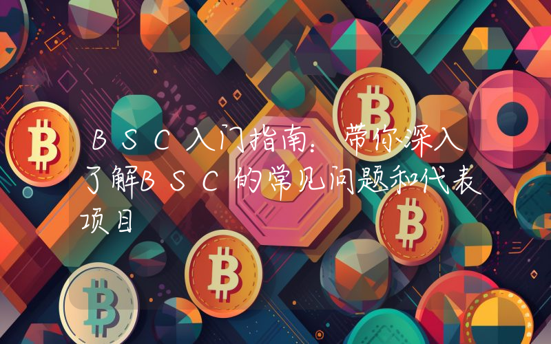 BSC入门指南：带你深入了解BSC的常见问题和代表项目