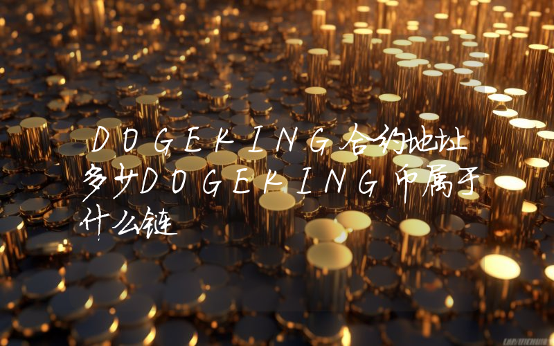 DOGEKING合约地址多少DOGEKING币属于什么链