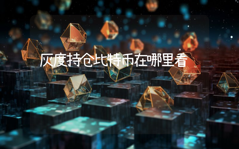 灰度持仓比特币在哪里看