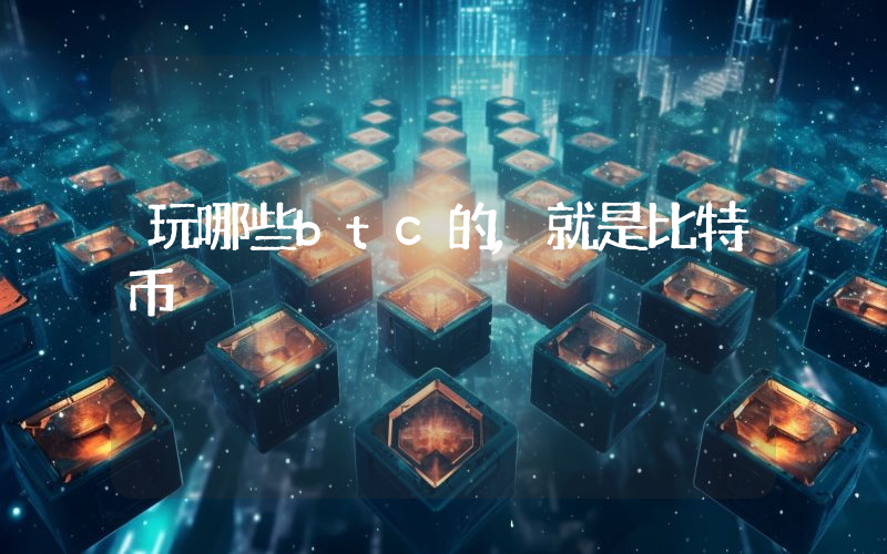 玩哪些btc的,就是比特币
