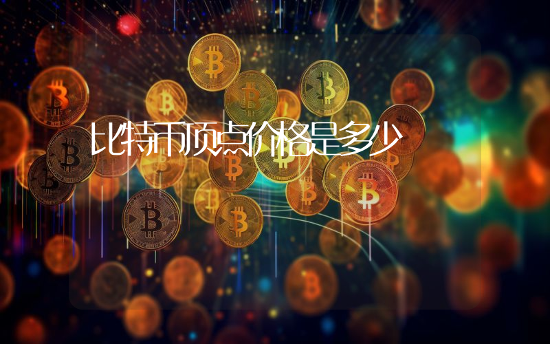 比特币顶点价格是多少