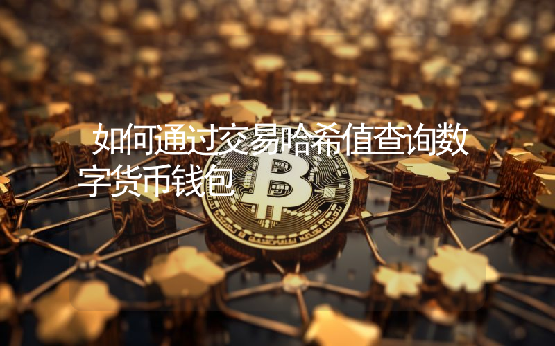 如何通过交易哈希值查询数字货币钱包
