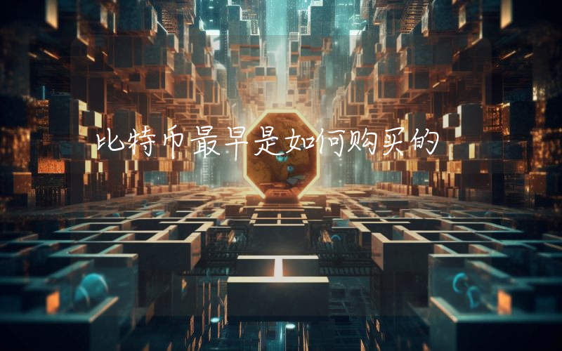 比特币最早是如何购买的